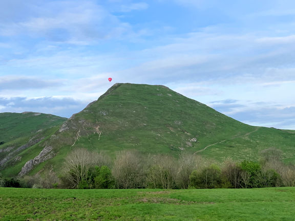view